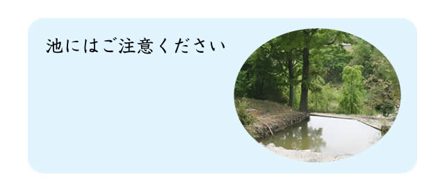 池にはご注意ください