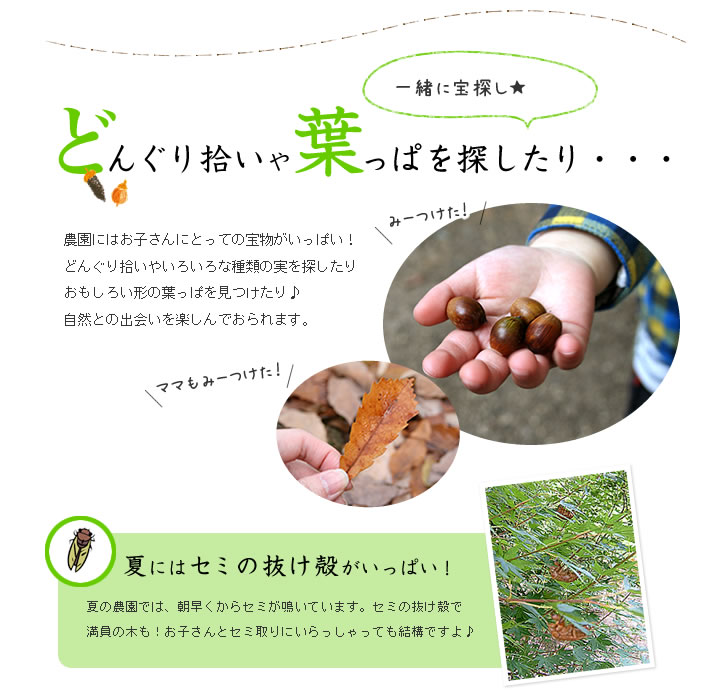 どんぐり拾いや葉っぱを探したり・・・