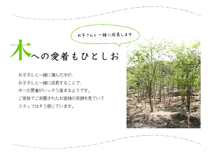 木への愛着もひとしお