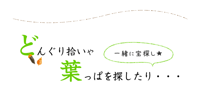 どんぐり拾いや葉っぱを探したり