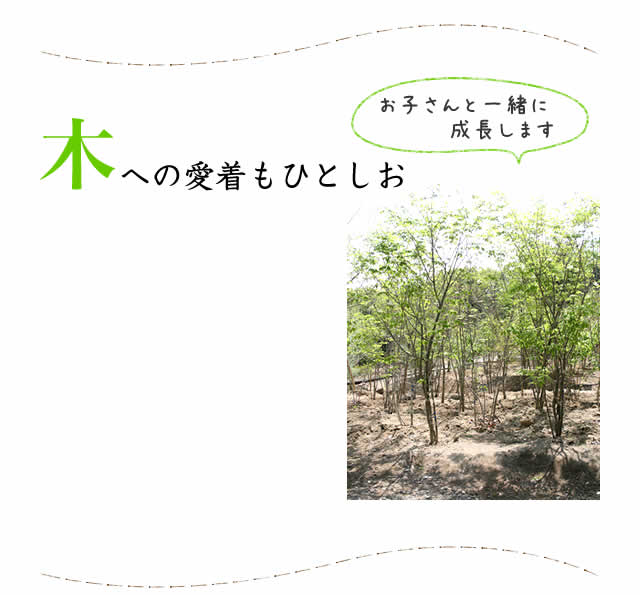 木への愛着もひとしお