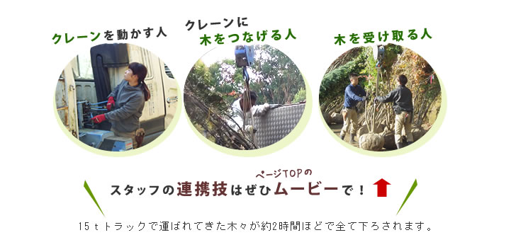 スタッフの連携が成せる技！