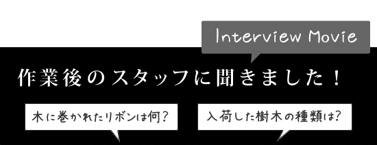 作業後のスタッフに聞きました