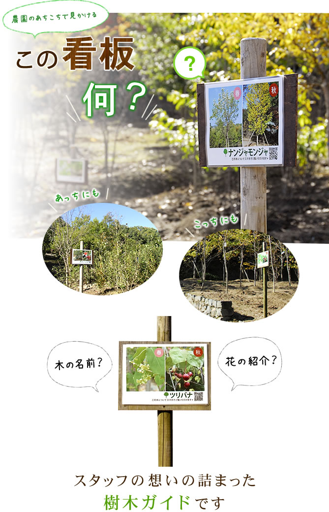 この看板何？