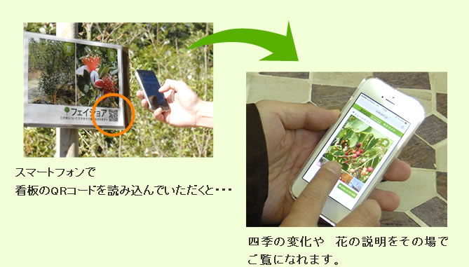 QRコードを読み込んでいただくと