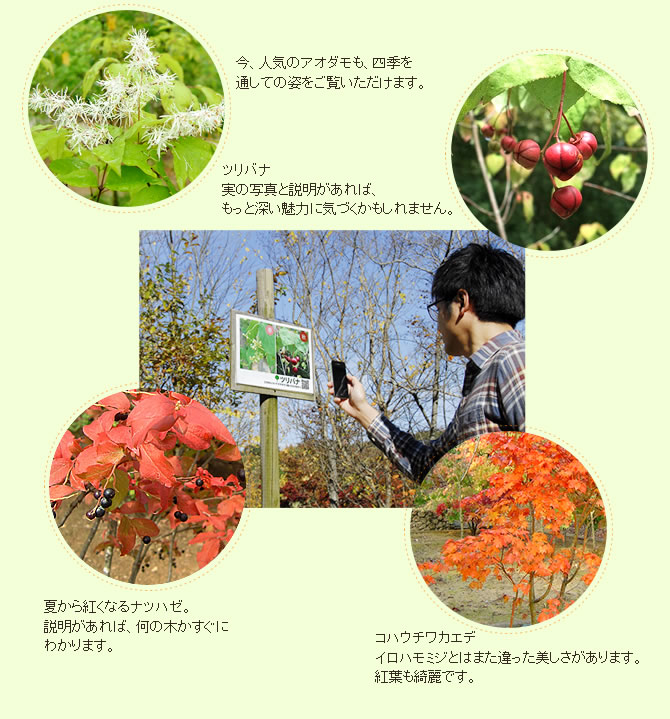 四季の姿をご覧いただけます