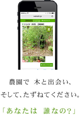 木と出会い、たずねてください