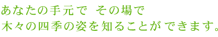 あなたの手元で四季の姿を知ることが出来ます