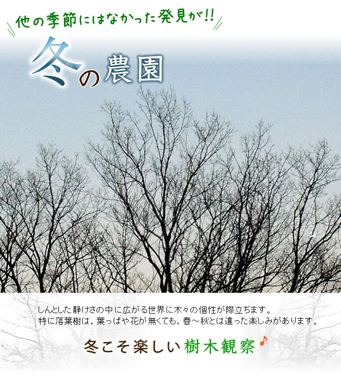 他の季節にはなかった発見が！！