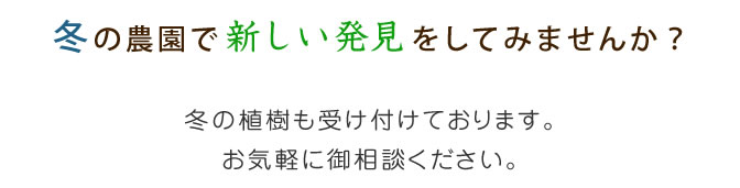 冬の農園で新しい発見をしてみませんか？