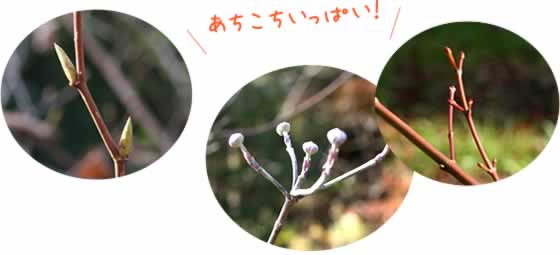 あちこちいっぱい！
