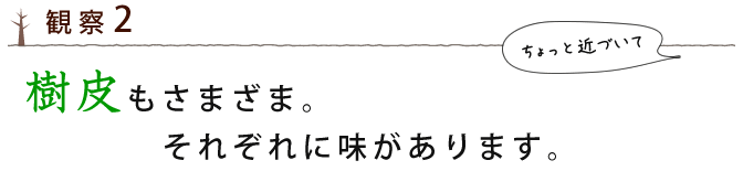 樹皮もさまざま。それぞれ味があります。