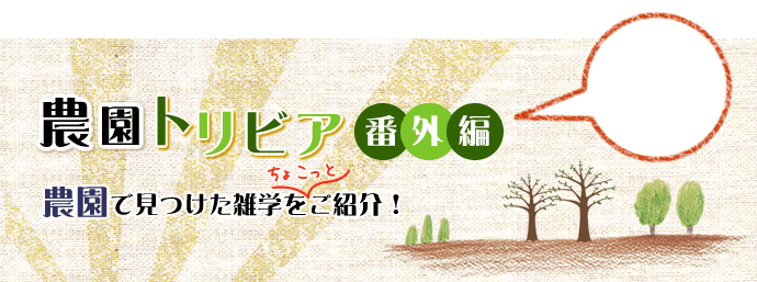 農園トリビア 番外編