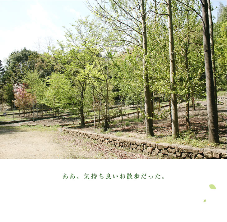 ああ、気持ち良いお散歩だった。
