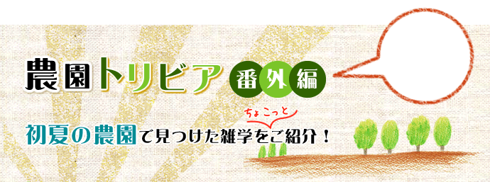 農園トリビア 番外編