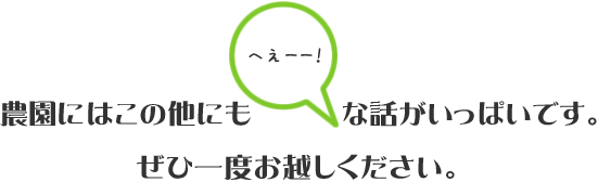 農園には他にもトリビアがいっぱいです
