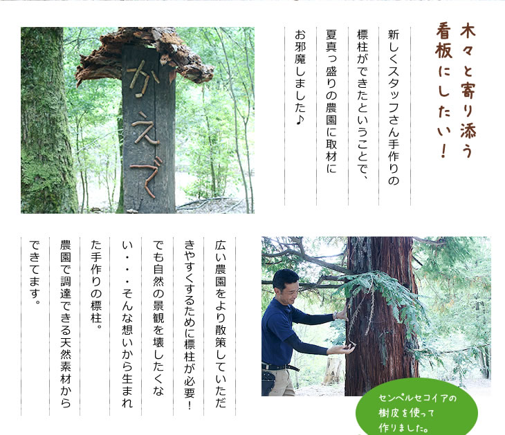 木々と寄り添う看板