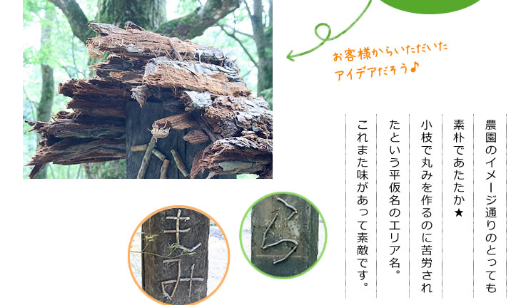 お客様のアイデアから