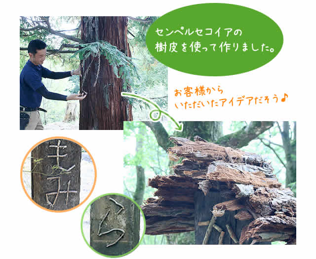木々と寄り添う看板2