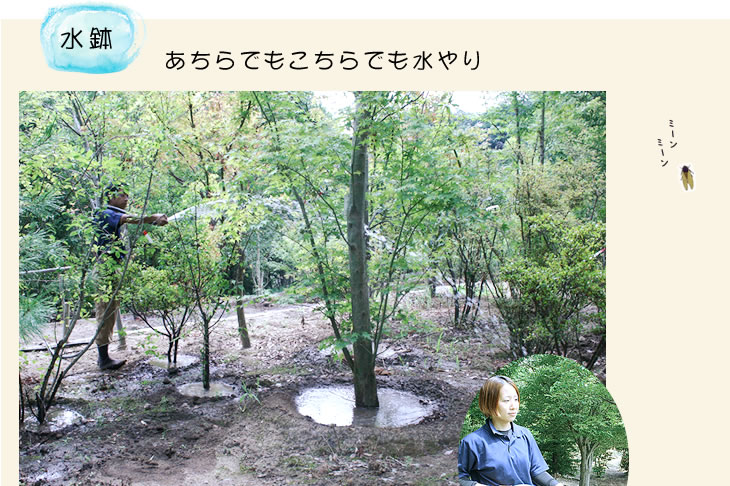 あちこちで水やり