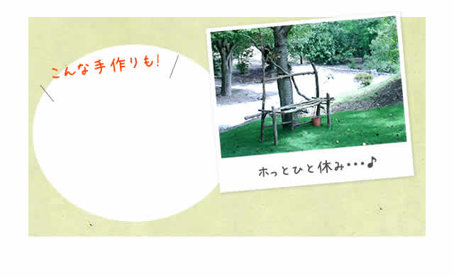 木々で作られたベンチ