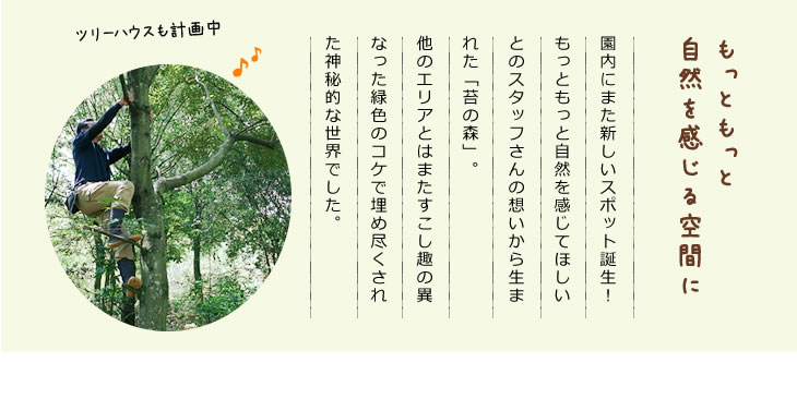 自然を感じる空間に