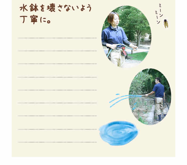 水鉢を壊さぬよう丁寧に