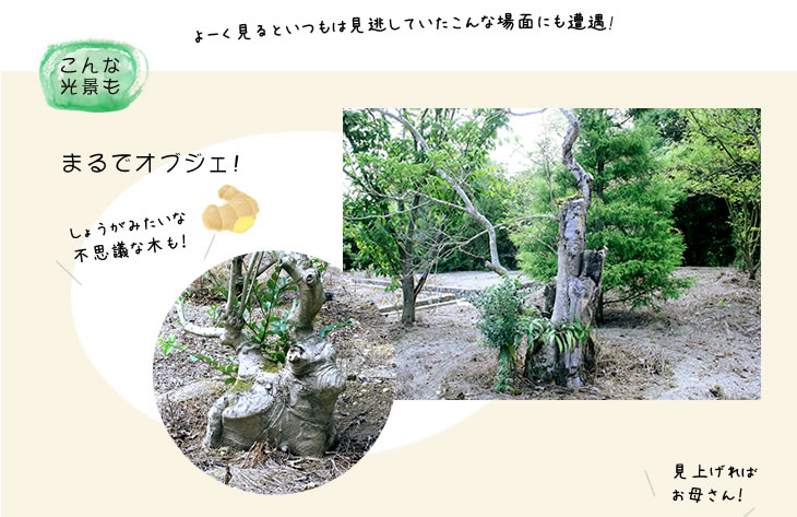 こんな光景も