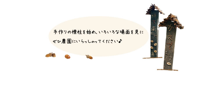 ぜひ農園にいらっしゃい