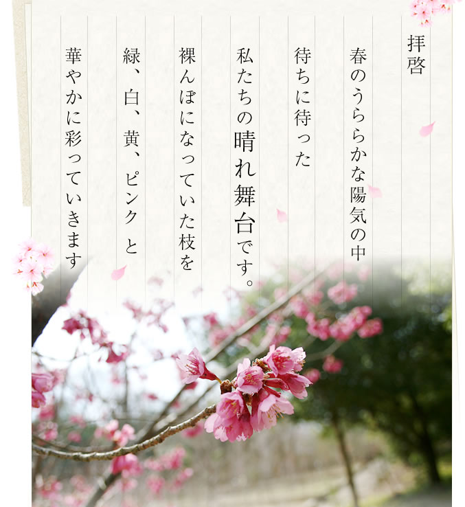 拝啓　私たちの晴れ舞台