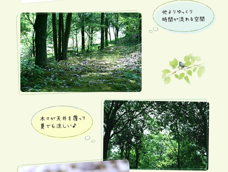ゆっくり流れる空間