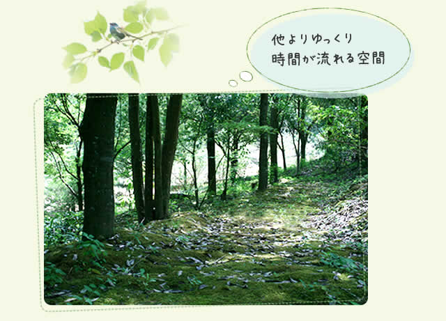 ゆっくり流れる空間