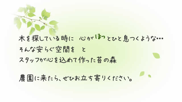 心を込めて作った苔の森