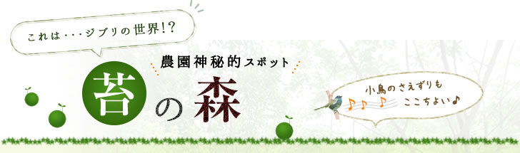 苔の森