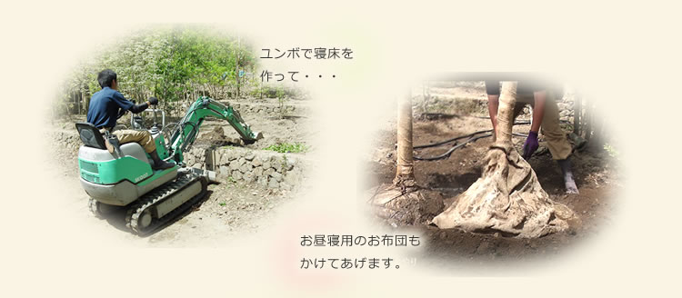 寝床を作ってお布団をかけて
