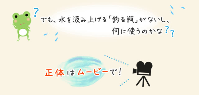 正体はムービーで