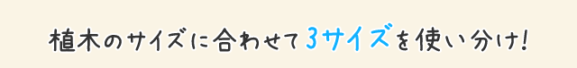 3サイズ