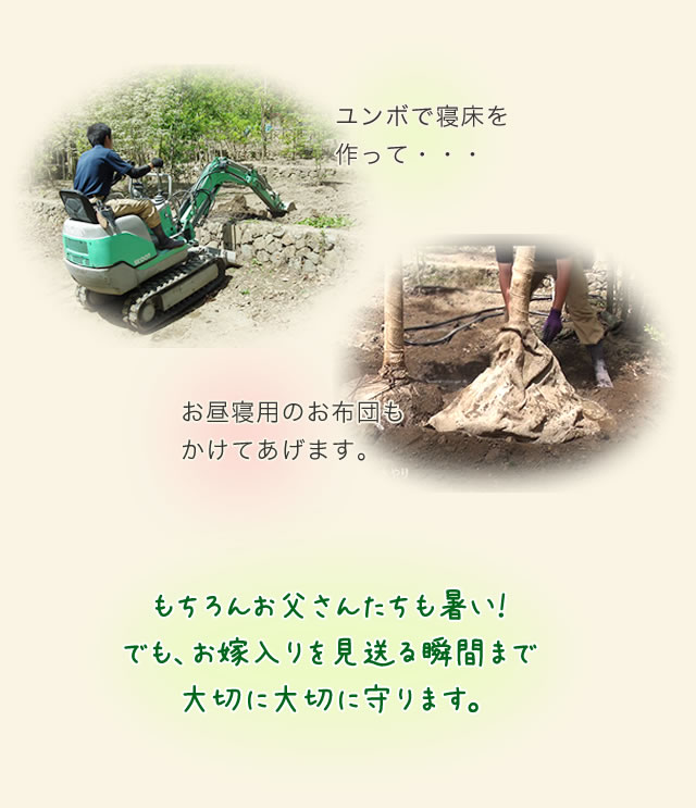 たいせつに見送る