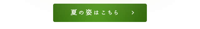 苔の森