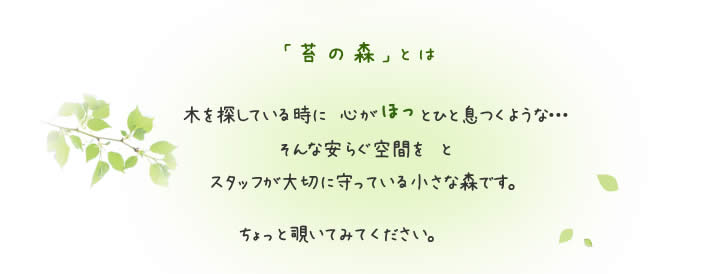 苔の森とは