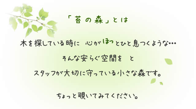 苔の森とは