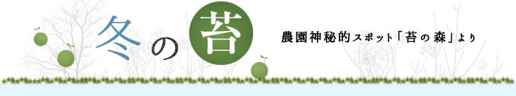 苔の森