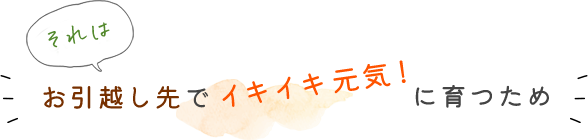 それはお引越し先でイキイキ元気！に育つために