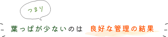 つまり葉っぱが少ないのは良好な管理の結果