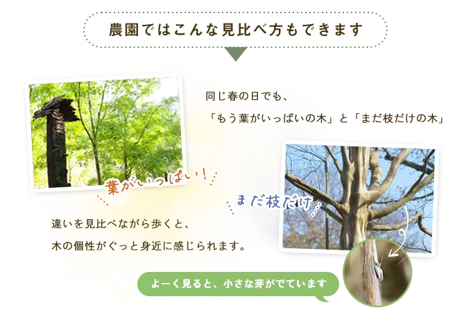 農園ではこんな見比べ方もできます