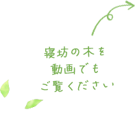 寝坊の木を動画でもご覧ください