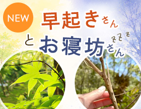 早起きさんとお寝坊さん！？