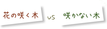 花の咲く木VS咲かない木