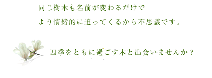四季をともに過ごす木と出会いませんか？