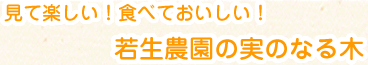 見て楽しい　食べておいしい